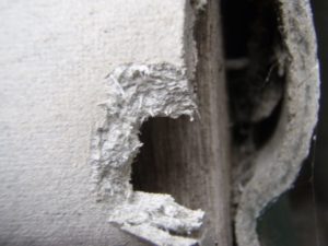 Asbestos Exposure Risk Due Friable Material